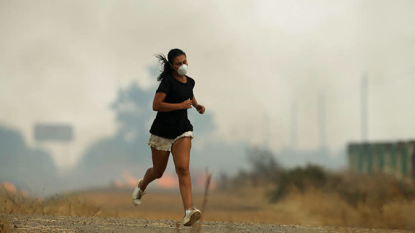 Фото - В европейской стране сотни человек погибли от экстремальной жары