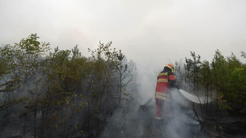 Фото - Оценен ущерб от лесных пожаров с начала года