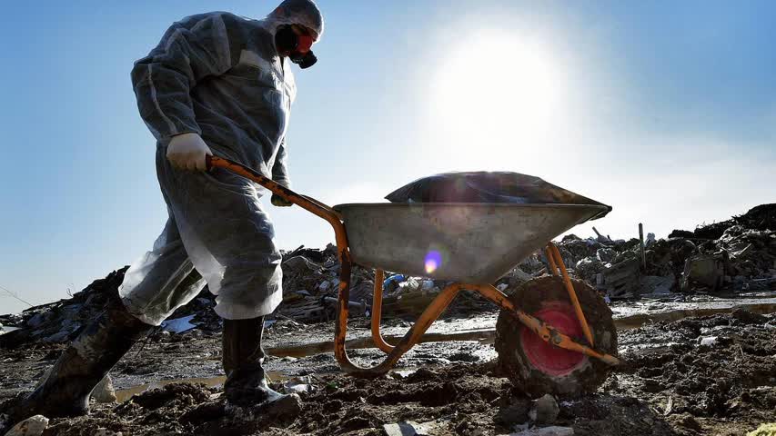 Фото - Экстремально токсичную свалку обнаружили в российском регионе